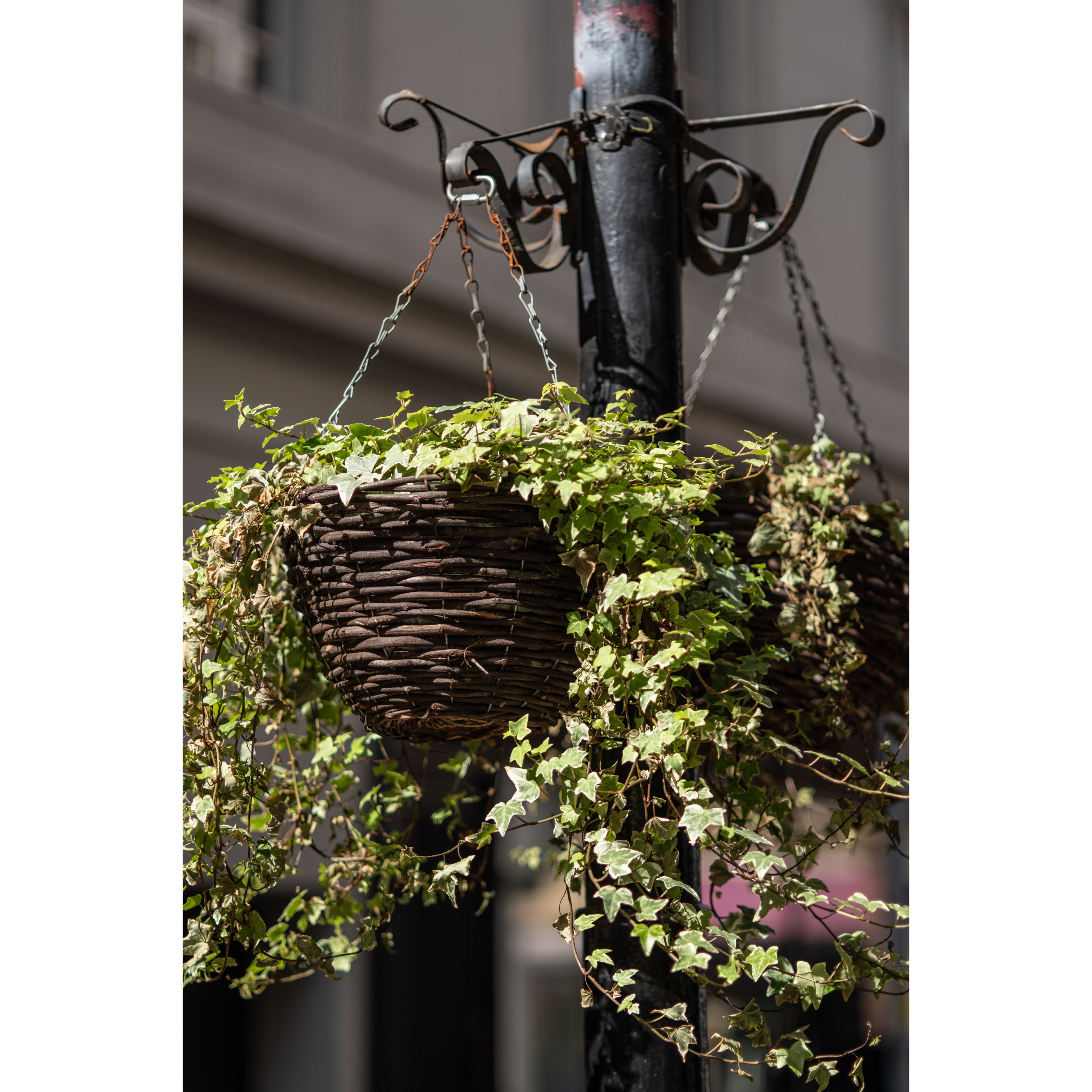 90mm f/2.8 Elmarit L39. 1693238