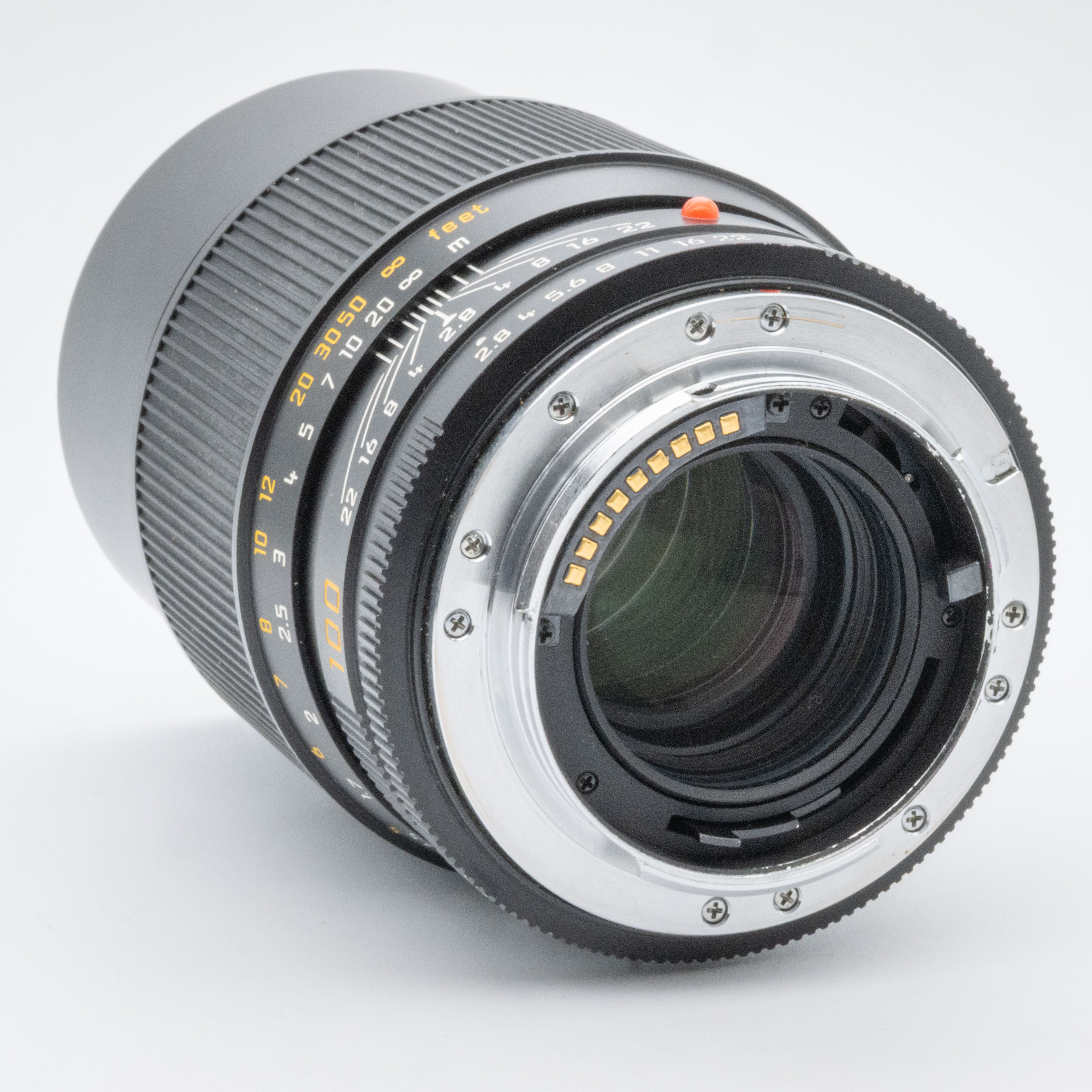 100mm f/2.8 APO-Macro-Elmarit-R, 3830976