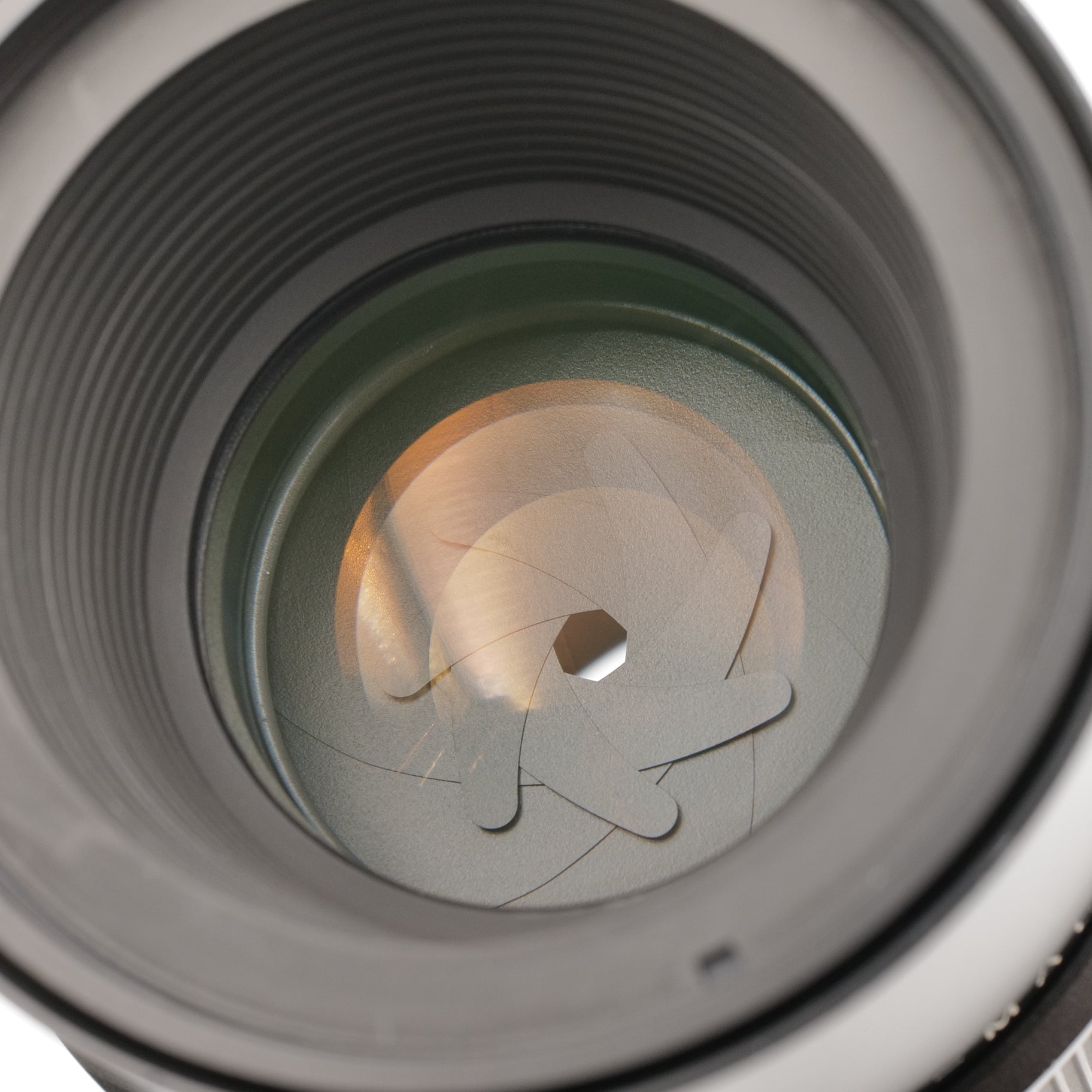 100mm f/2.8 APO-Macro-Elmarit-R, 3-Cam. 3469401