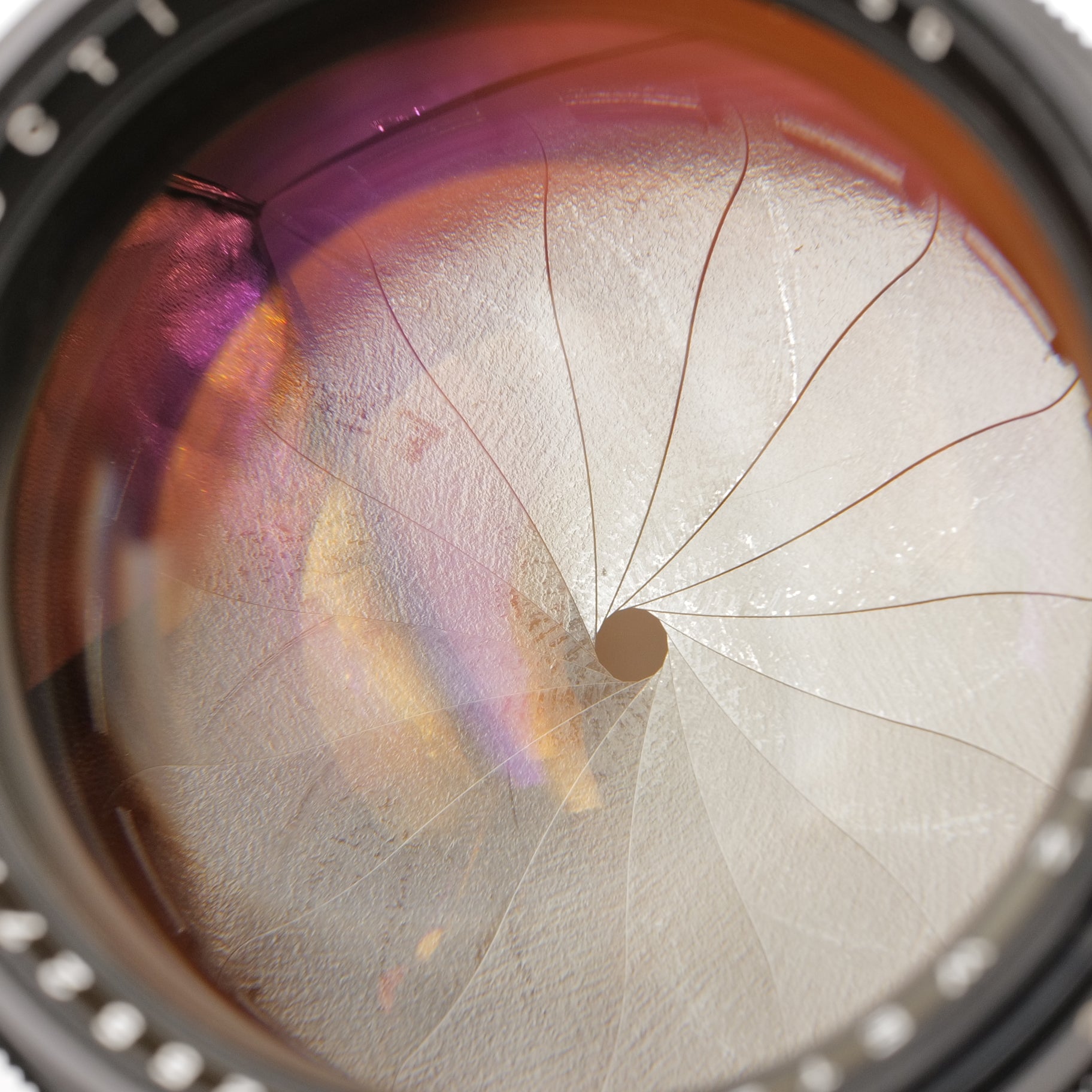 50mm f/1.2 Noctilux. 2255277