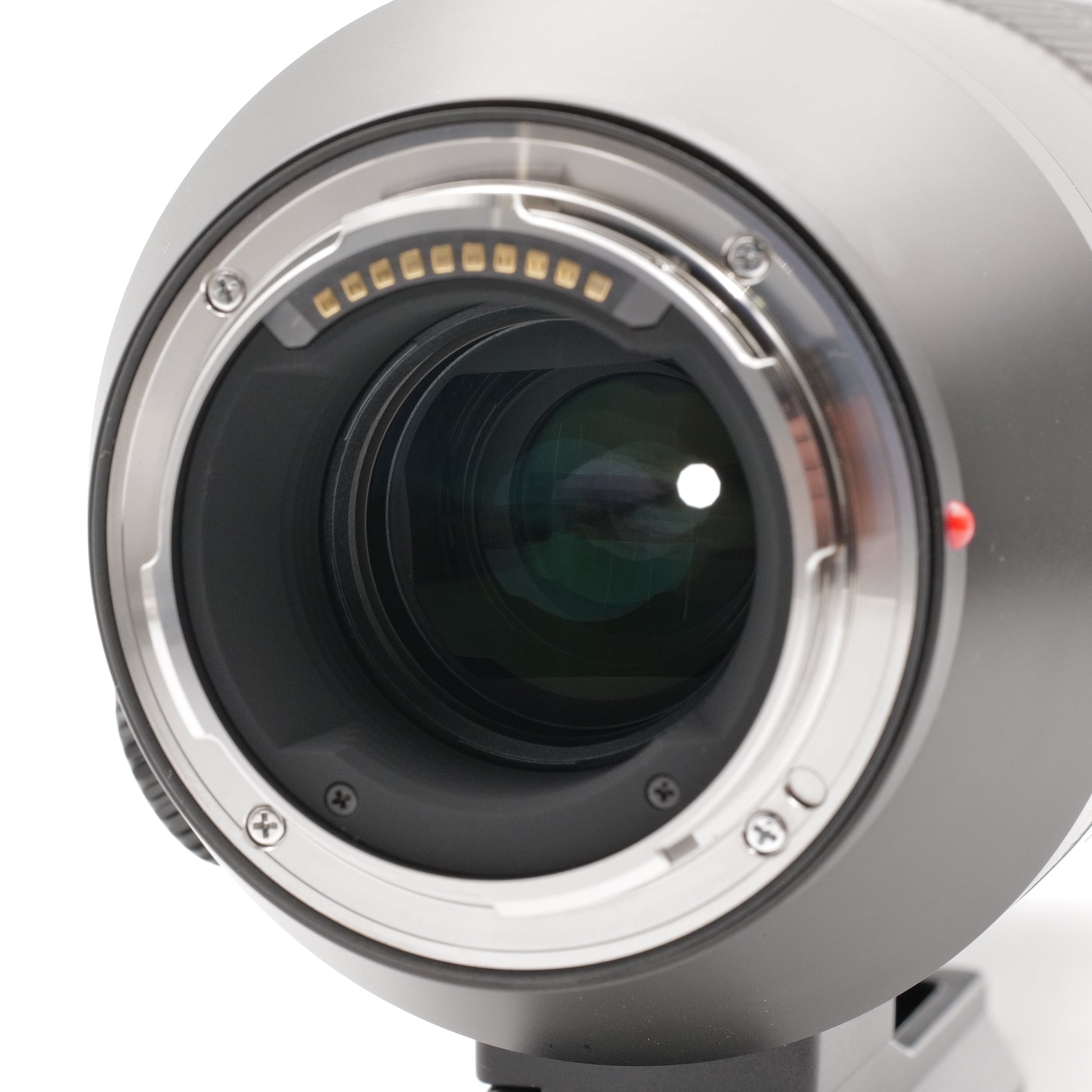 70-200 f/2.8 Vario-Elmarit-SL ASPH. 4928773