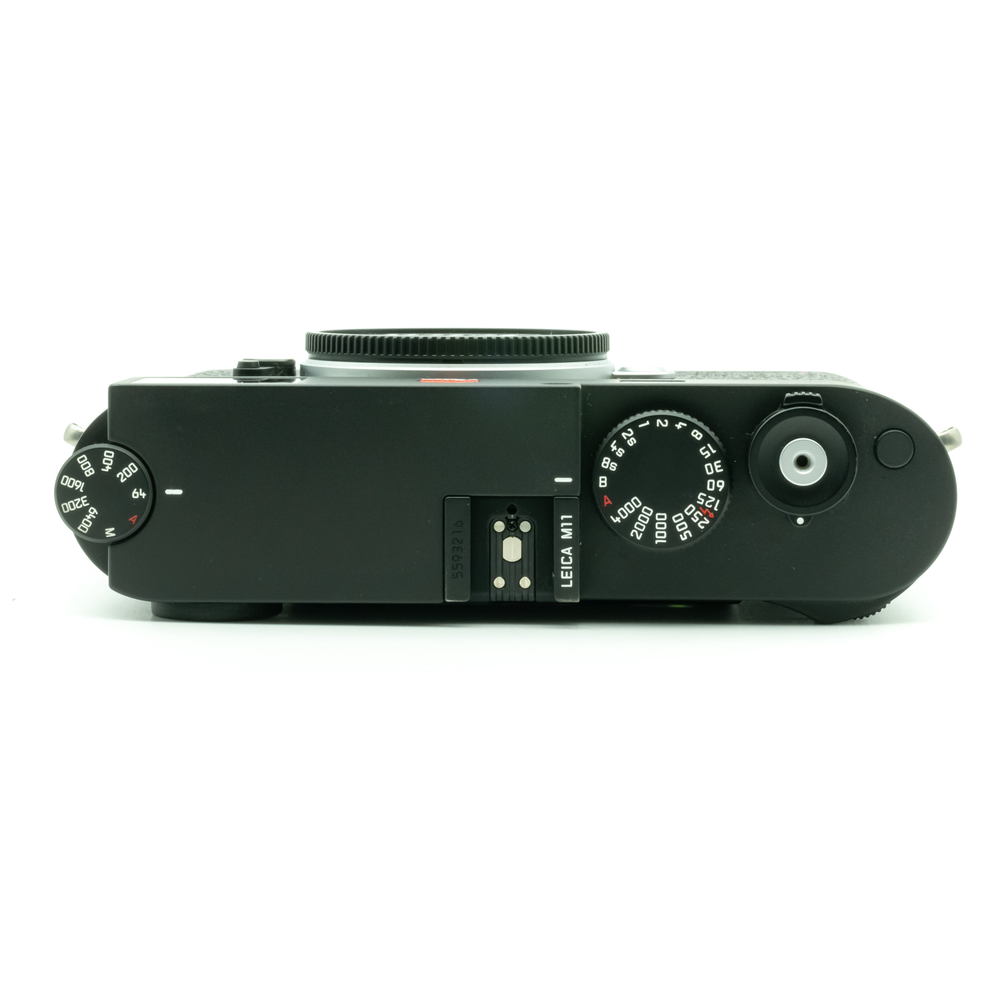 M11, black paint 5593216