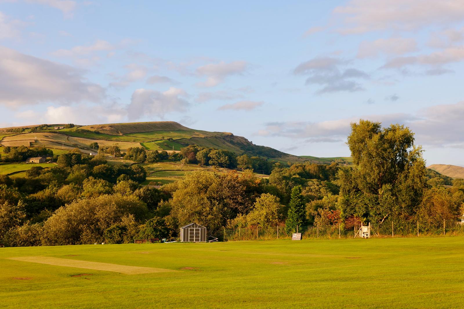 Picture of a green landscape