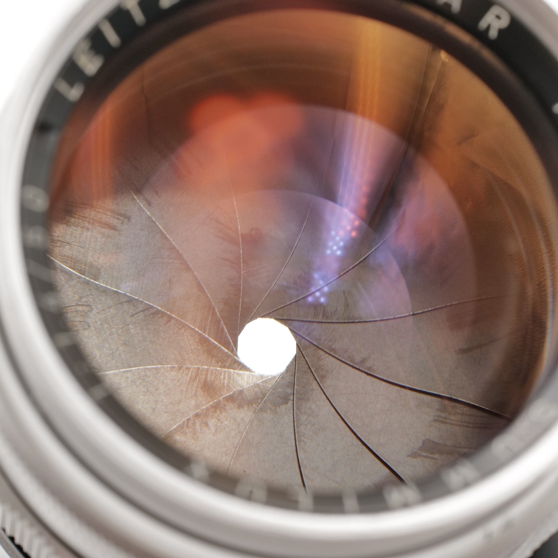 50mm f/1.4 Summilux & XOOIM Hood. 1758439