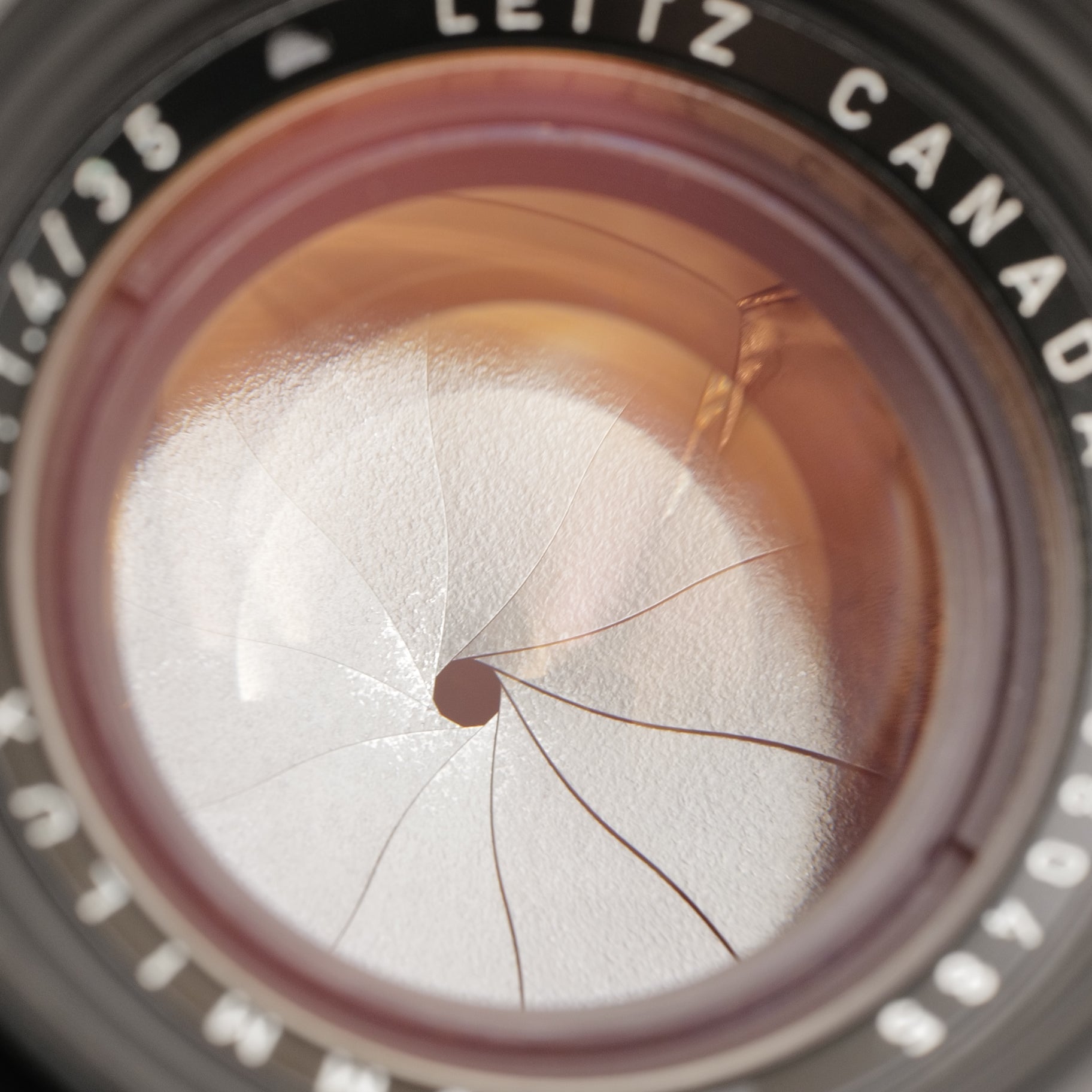 35mm f/1.4 Summilux. 2680485