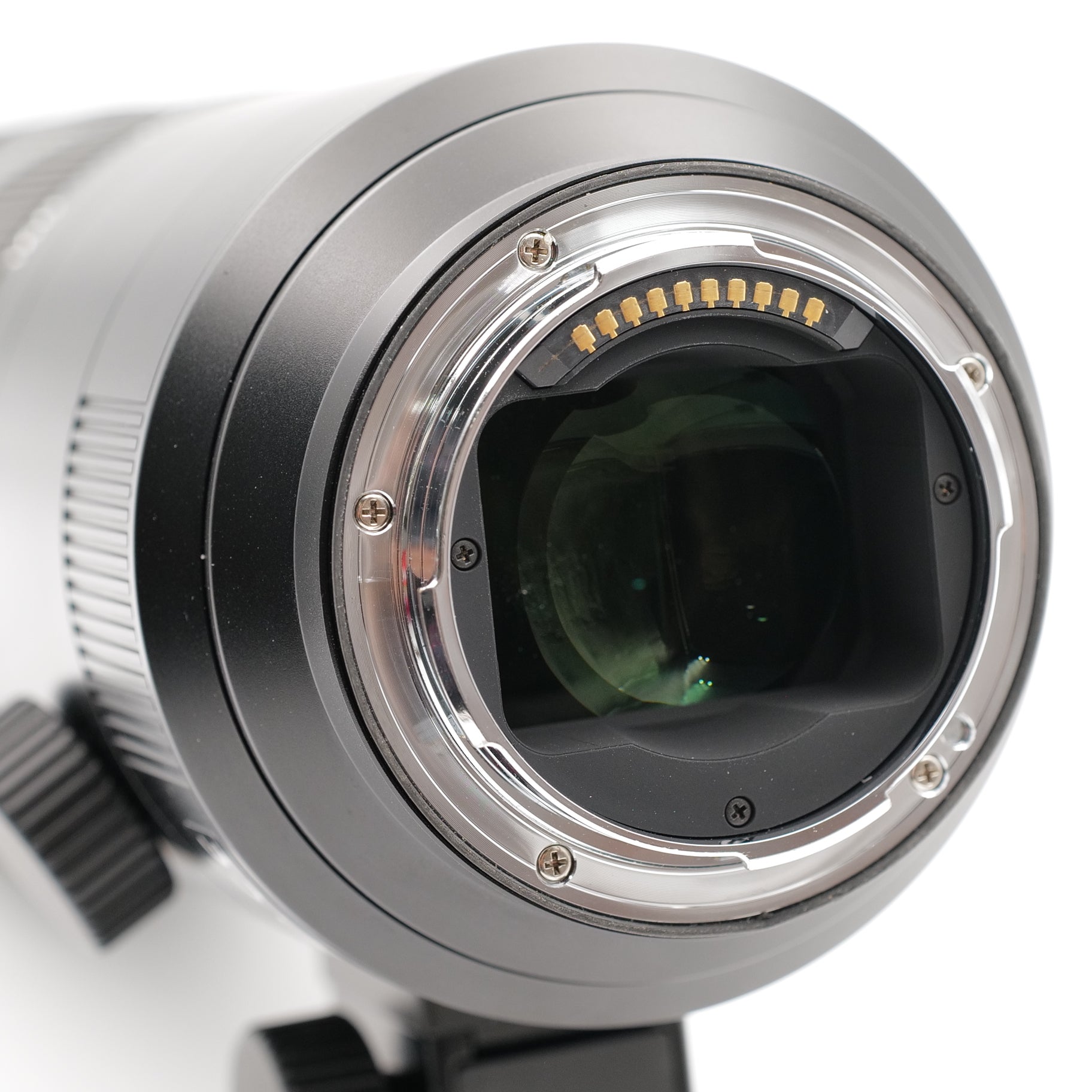 90-280mm APO-Vario-Elmarit-SL f/2.8-4. 4576207