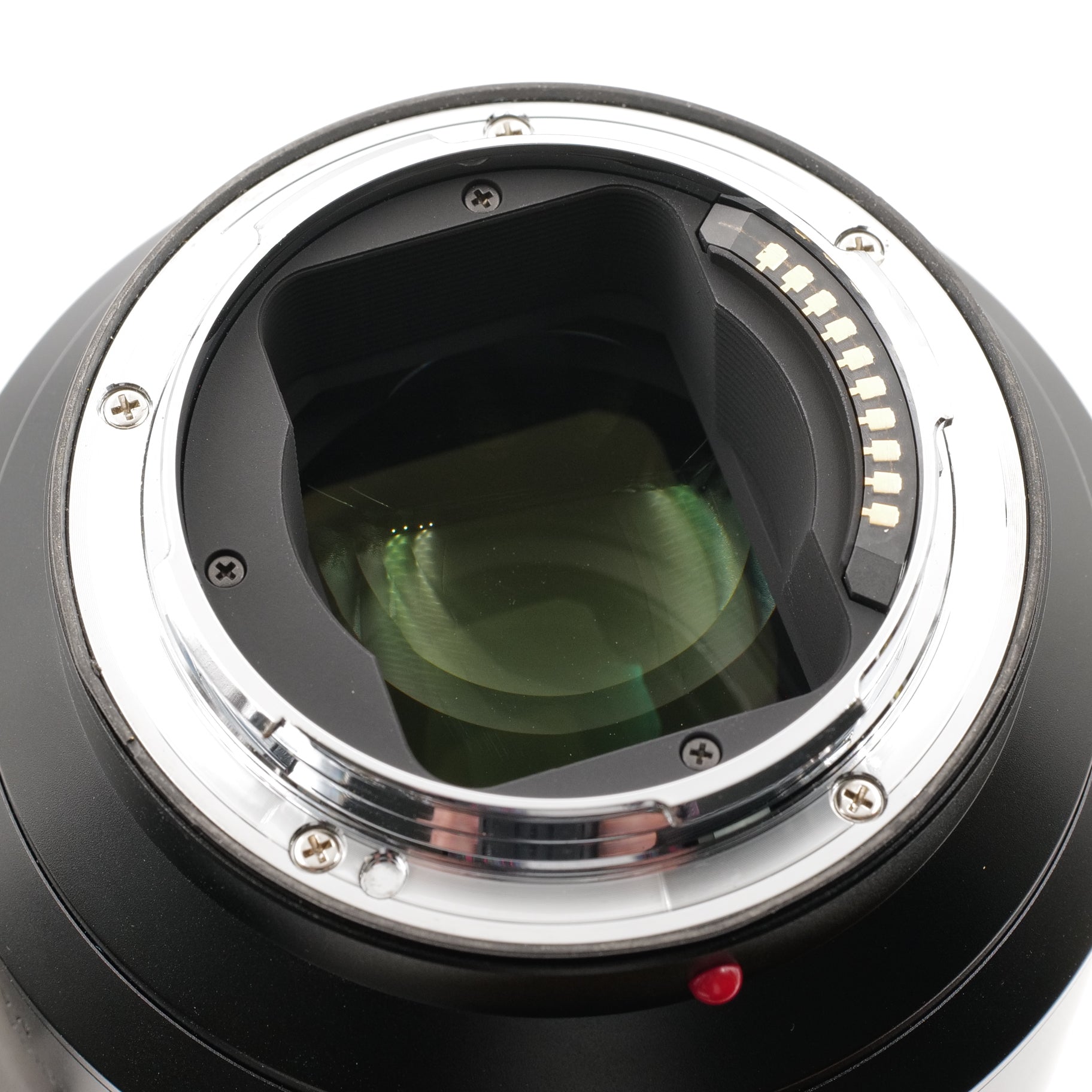 90-280mm APO-Vario-Elmarit-SL f/2.8-4. 4576207