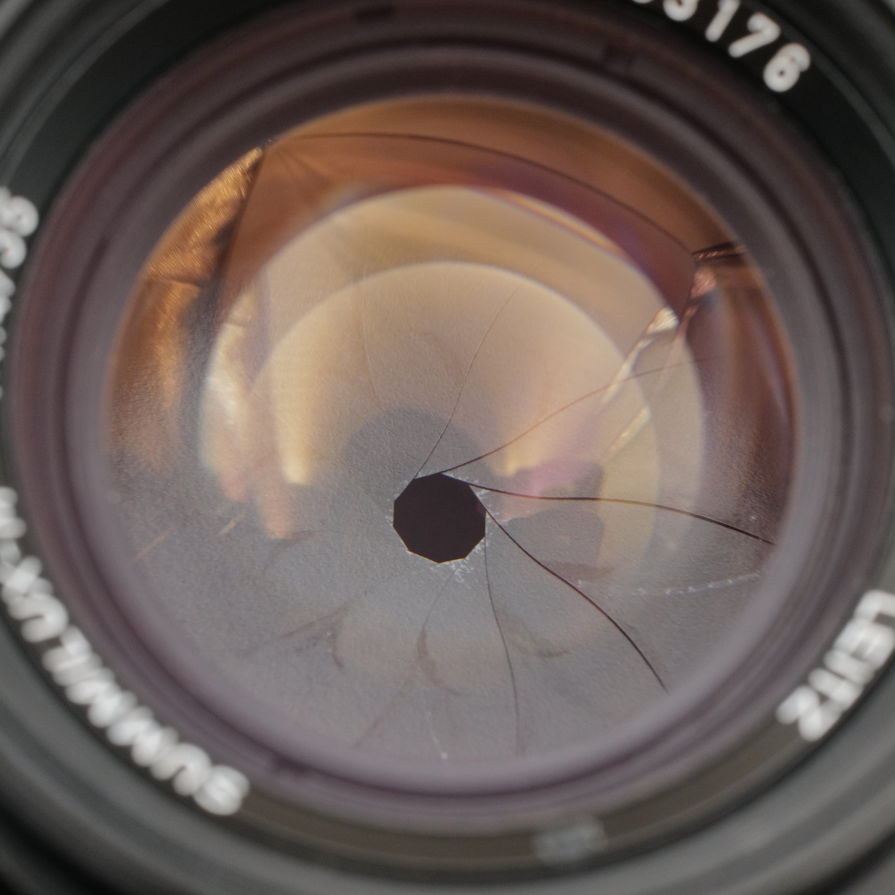 35mm f/1.4 Summilux-M. 3433176
