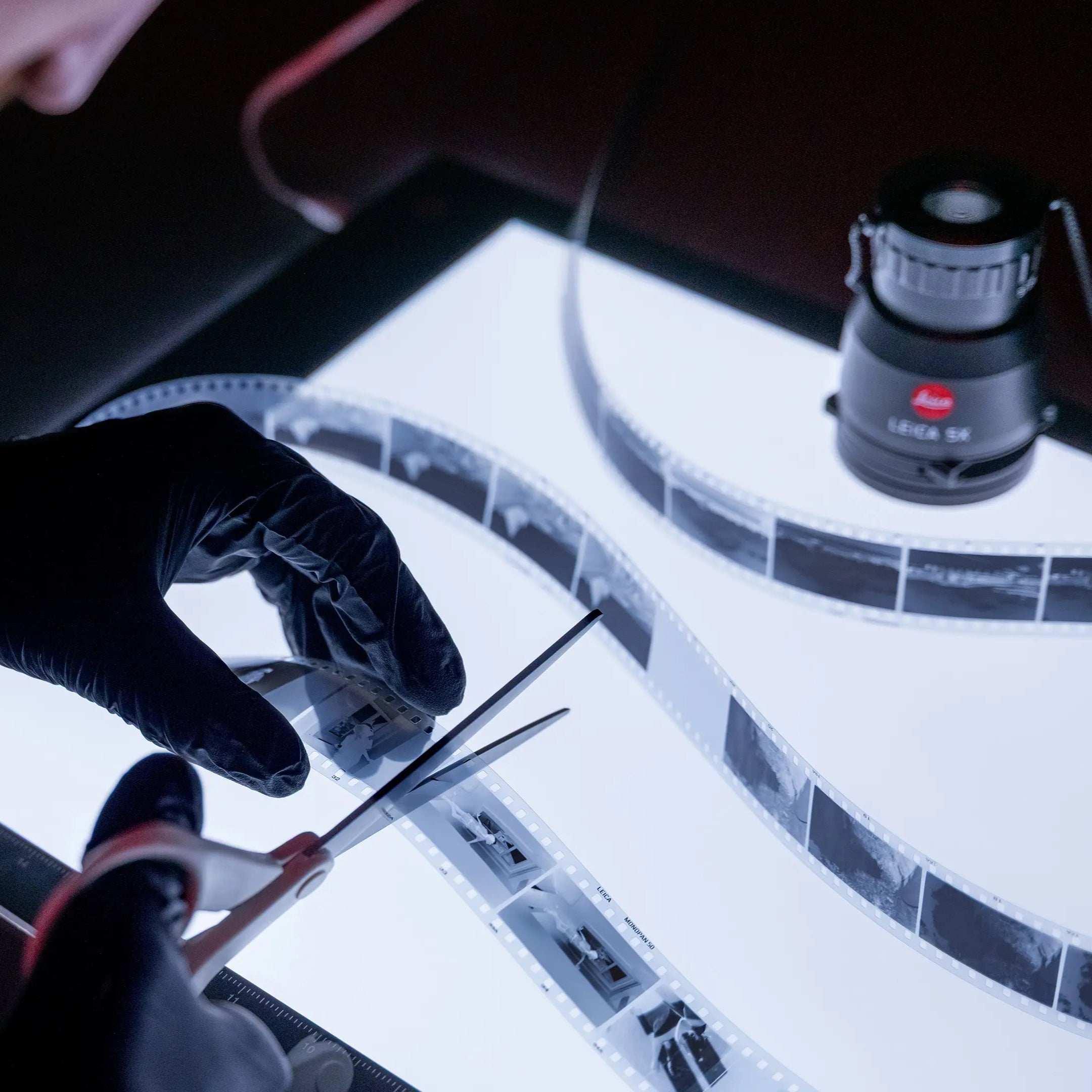 Monopan 50 Film Photography Experience